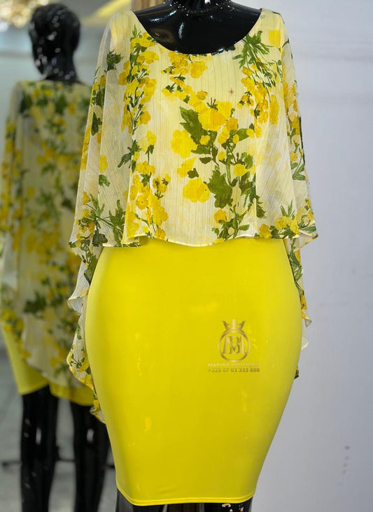 ROBE AUX GENOUX